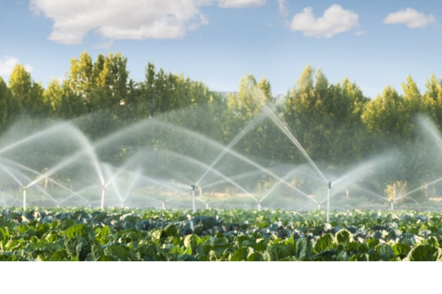 Industrial Applications of EDTA Disodium Salt: From Agriculture to Water Treatment